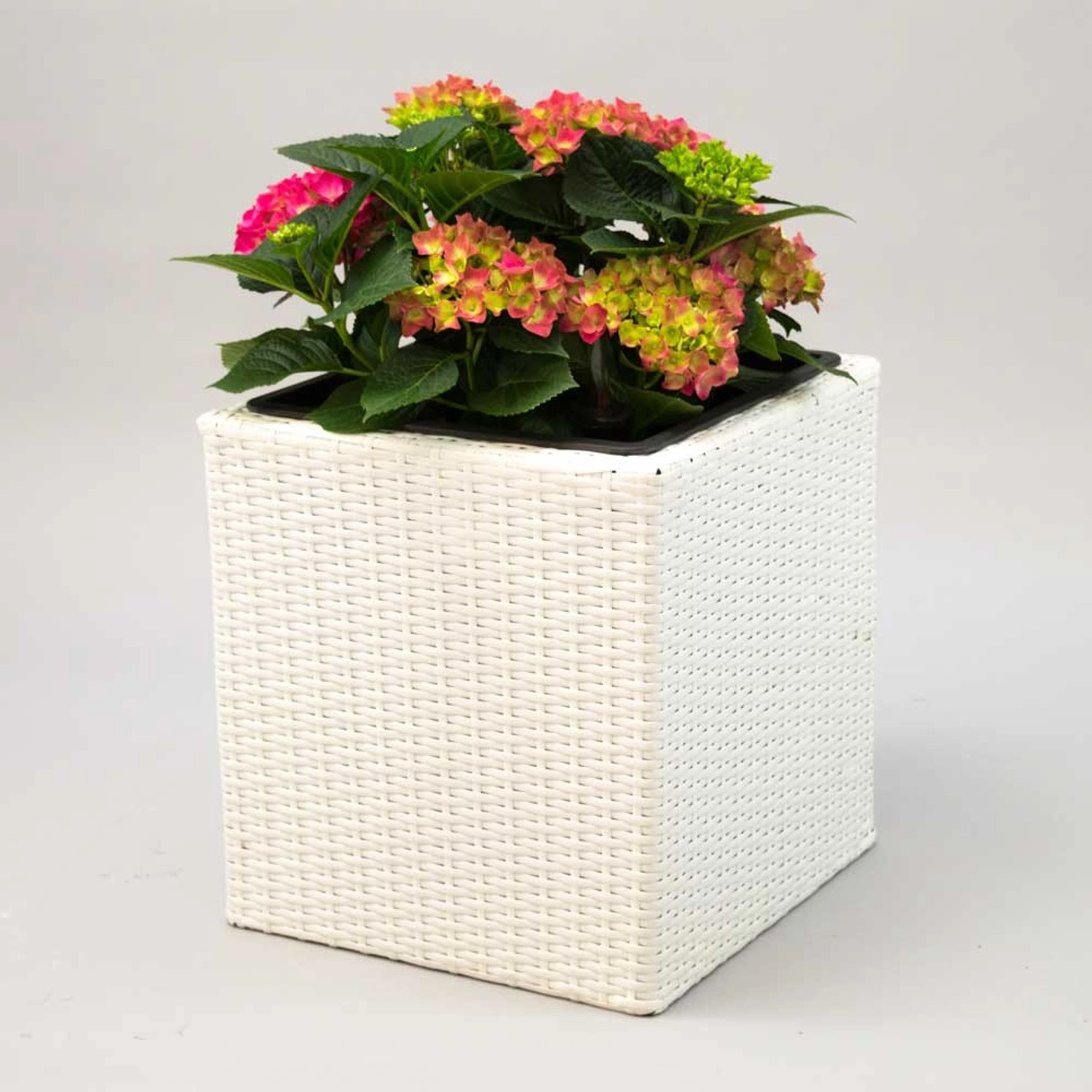 Elegant Einrichten Pflanzkübel Polyrattan Quadratisch 50x50x50cm Weiß günstig online kaufen