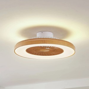 Lindby LED Deckenventilator mit Lampe Teleo 10022131 Dimmbar Leselampe Modern 1-flammig Wohnzimmerleuchte