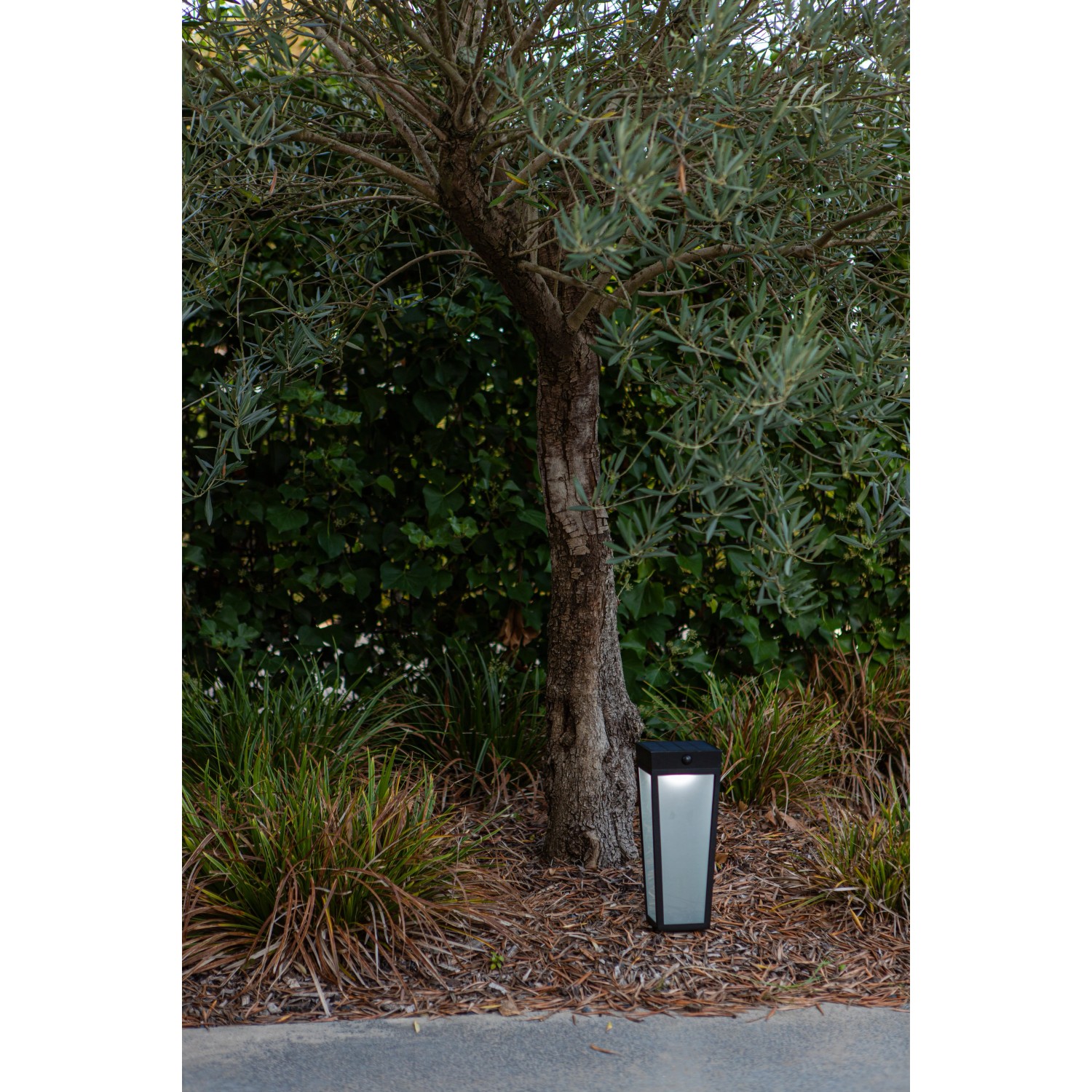 Lutec LED Solar Wegeleuchte Dias, mattschwarz, neben Baum im Garten.