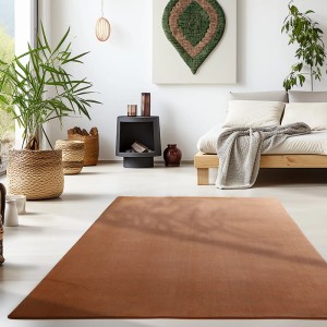 Brauner Ayyildiz Kurzflorteppich Sky 5400 (240x340 cm) im Wohnzimmer.