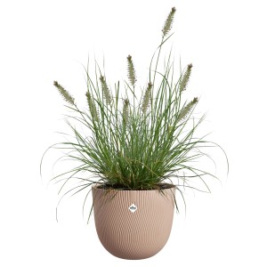Brauner Elho Blumentopf Sereh (Ø 25 cm) mit Ziergras, geeignet für Innen- und Außenbereich.