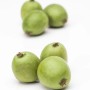 Frische, grüne Kiwibeeren der winterharten Kletterpflanze Actinidia Arguta.