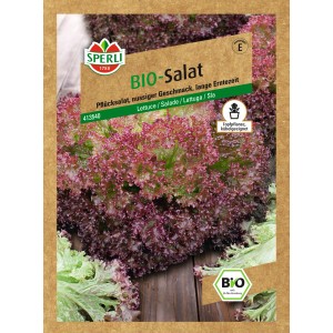 Samenpackung Sperli Bio-Pflücksalat Lollo Rossa mit rotem, krausem Salat.