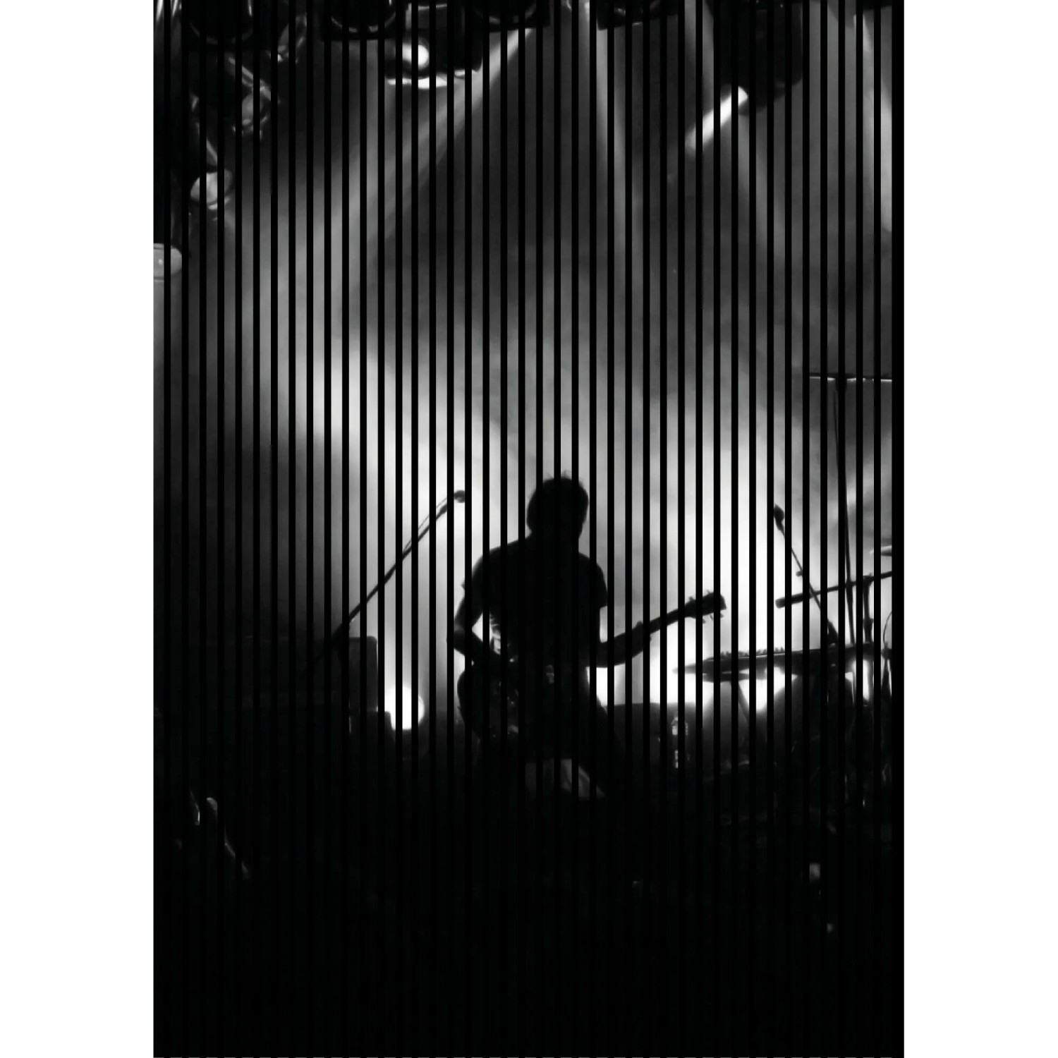 FN Acustico Akustikplatte Band 1 PET u. MDF Foliert 1.693 x 19 x 2.400 mm
