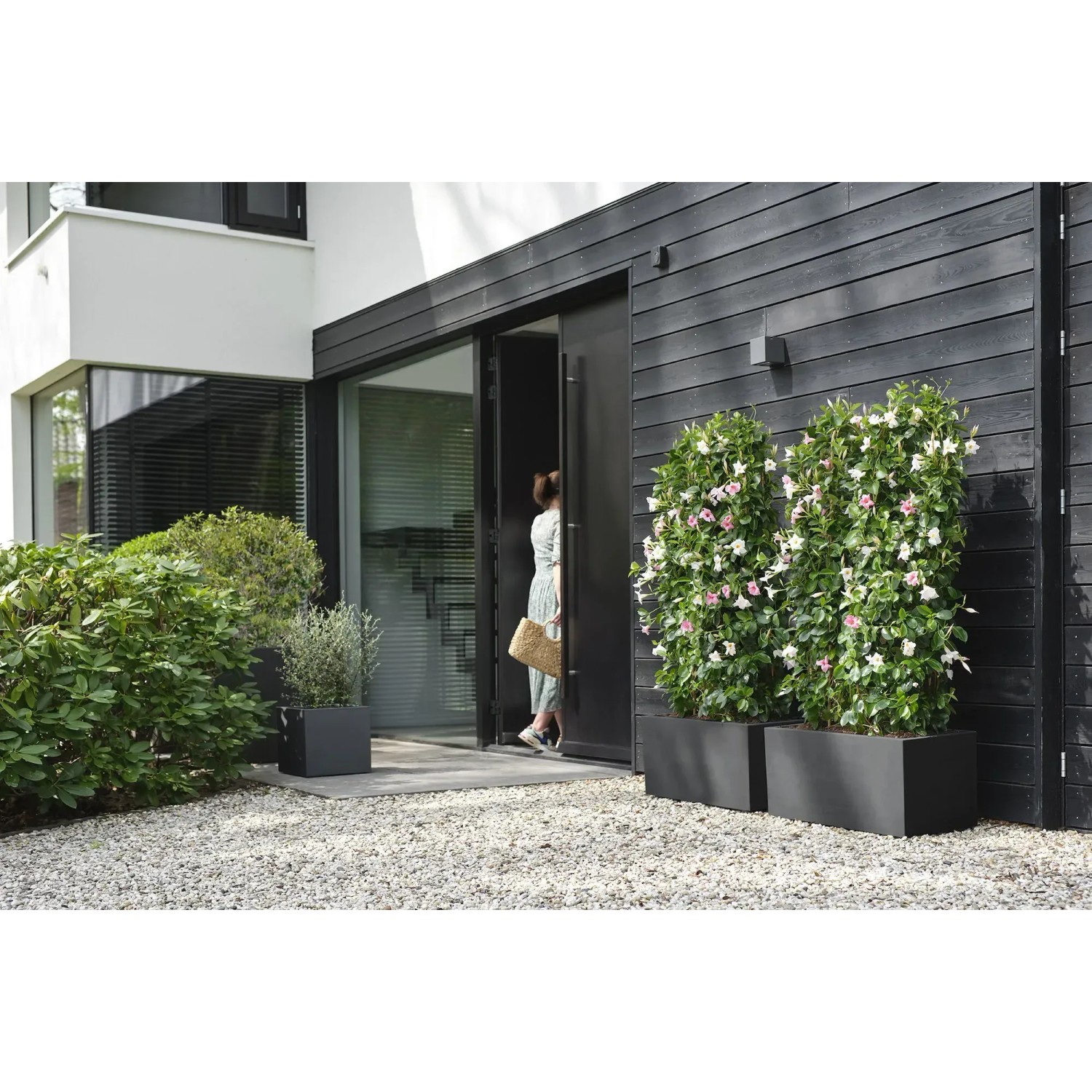 Schwarzer Elho Vivo Next Pflanztopf 40 cm mit Rollen vor modernem Haus.