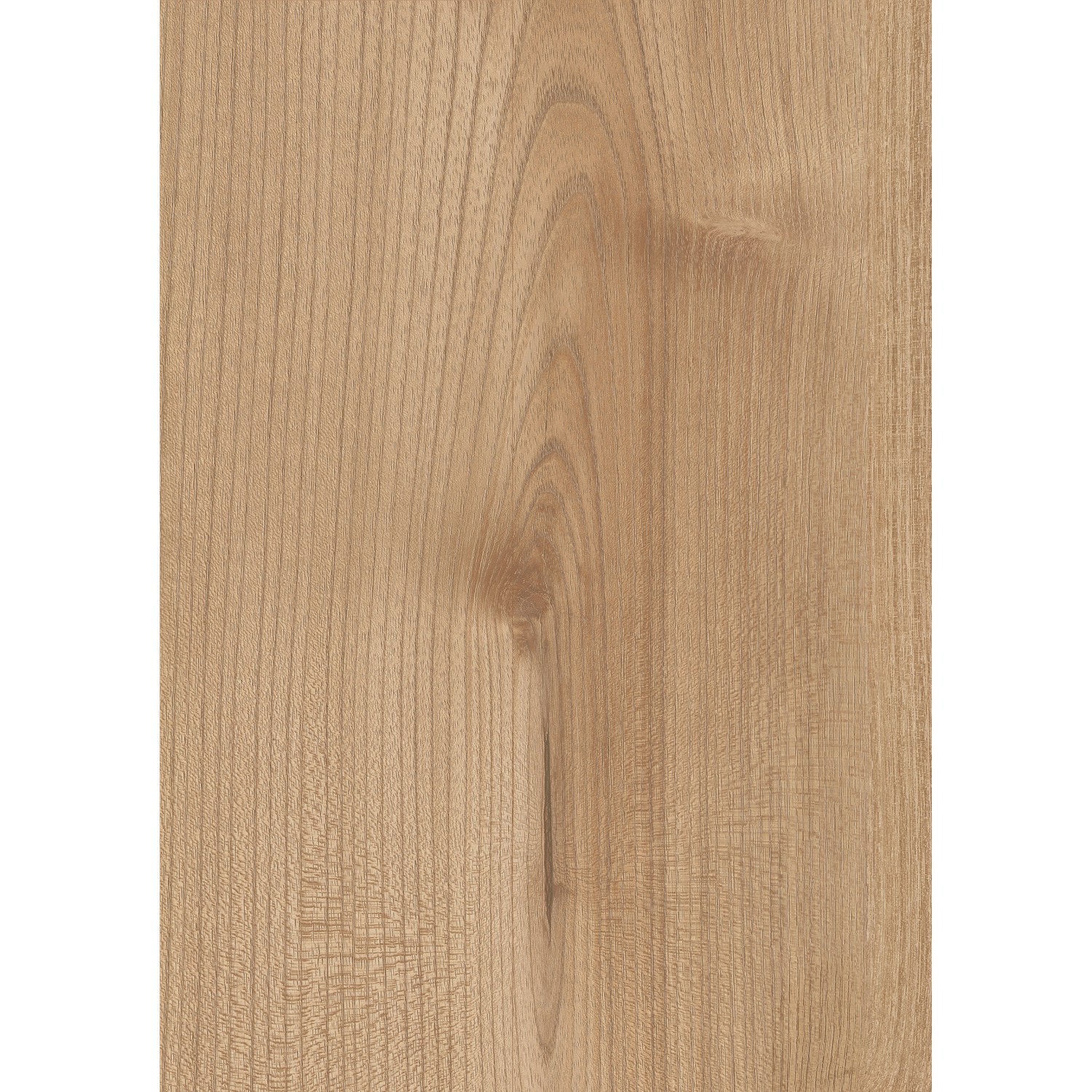 Kaindl Laminat Masterfloor Aqualine XPT Akazie Chester Valeria, Holzoptik