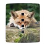 Banjado Schlüsselkasten Edelstahl mit Fuchs Motiv. Garderobenleiste für 10 Schlüssel.