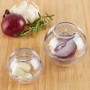 Relaxdays Zwiebeldosen 2er Set, transparente Kunststoffbehälter mit Zwiebel und Knoblauch.