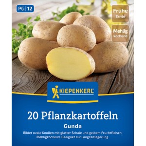 Kiepenkerl Pflanzkartoffel Gunda, 20 St
