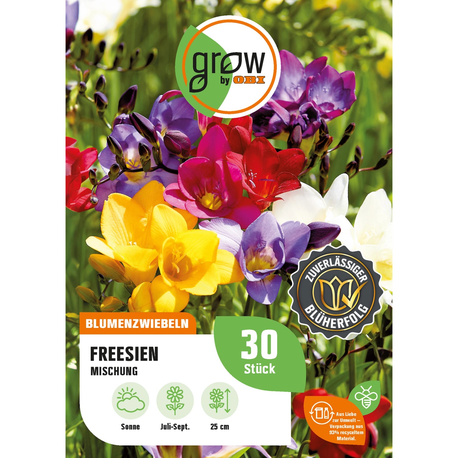 GROW by OBI Begonien Freesien Mischung Höhe ca. 25 cm Freesia single günstig online kaufen