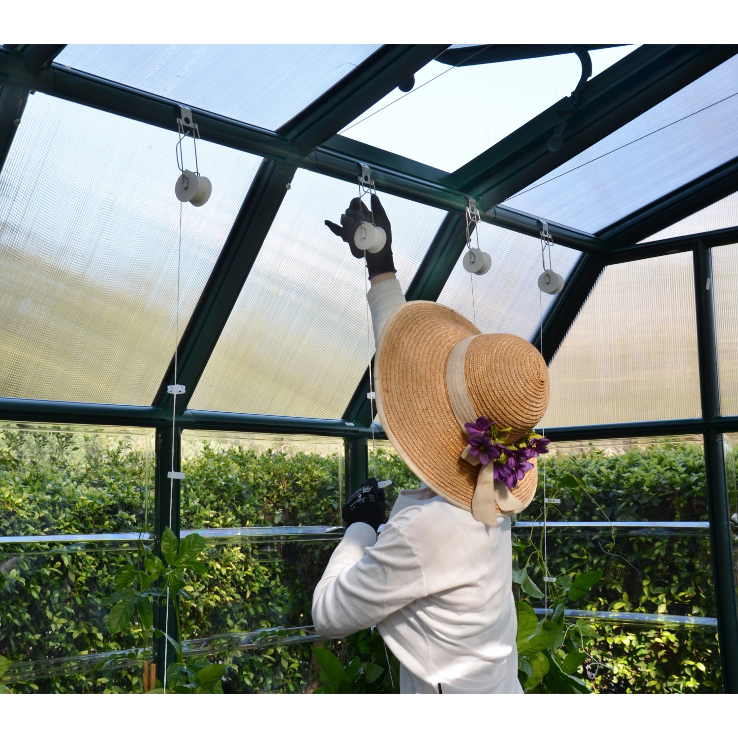 Rion Tomatenrank-Kit 6er Set für Gewächshaus Grand Gardener