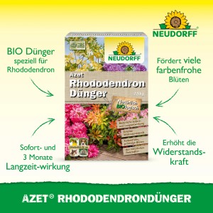 Neudorff Azet Rhododendron-Dünger 2,5kg: Organischer Dünger für kräftigen Wuchs und farbenfrohe Blüten.