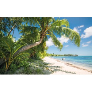 Vlies Fototapete Fiji Dreams: Traumstrand mit Palmen und blauem Meer.