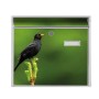 Weißer Banjado Briefkasten mit Vogelmotiv auf Tannenzweig, inkl. Montagematerial und Schlüsseln.