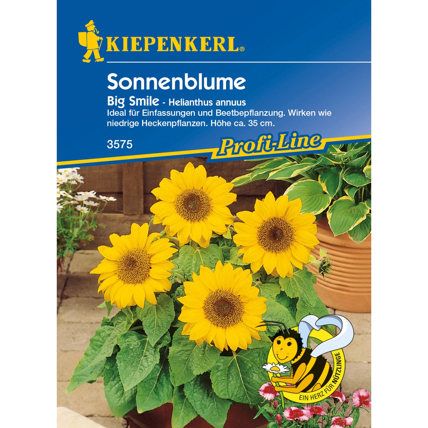 Kiepenkerl Sonnenblume "Big Smile" Gelb Helianthus kaufen bei OBI