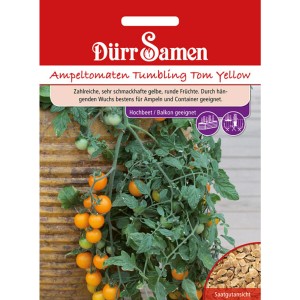 Dürr Samen Ampeltomaten 'Tumbling Tom Yellow': Gelbe Tomaten an Ranken, ideal für Ampeln.
