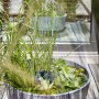 Heissner Solar-Wassergarten Aquatopia mit Pflanzen im runden, grauen Gefäß.