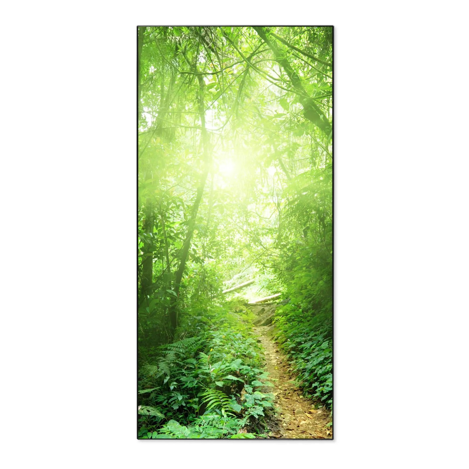 Banjado Magnettafel 37x78cm Magnetwand  Schwarz Aus Metall Magnetpinnwand P günstig online kaufen