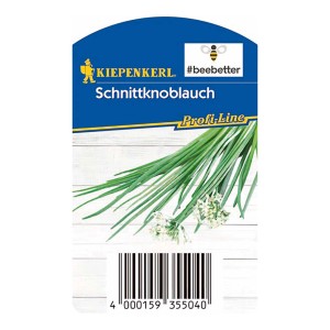 Kiepenkerl Schnittknoblauch im Topf, grüne Blätter und weiße Blüten. Ideal zum Würzen.
