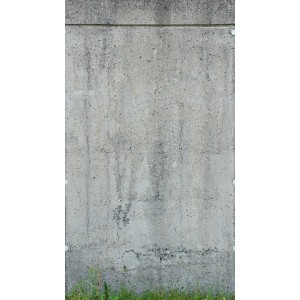 Fototapete in Betonoptik (grau/grün) von PROFHOME, matte Oberfläche.
