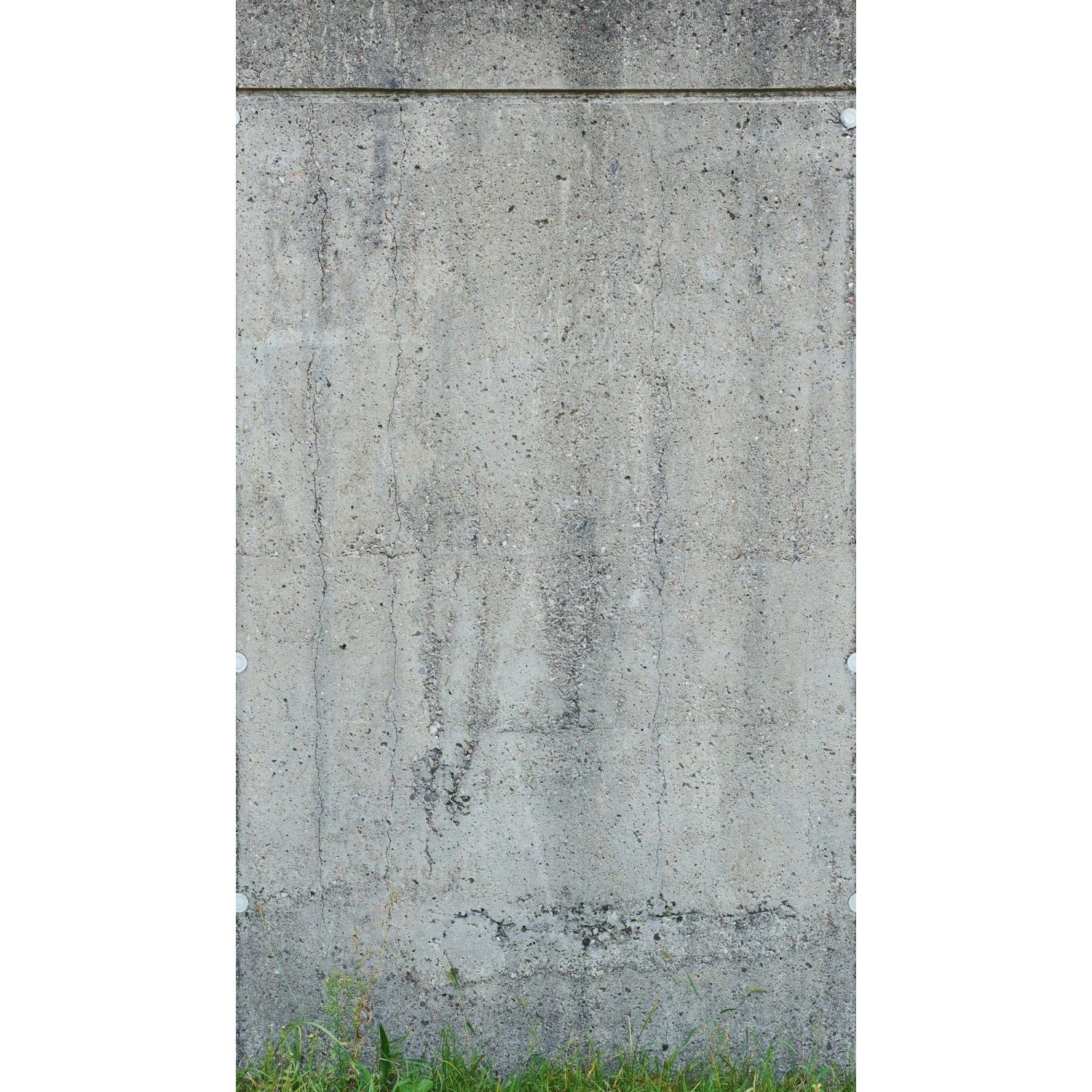 Fototapete in Betonoptik (grau/grün) von PROFHOME, matte Oberfläche.