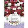 Grüne Fee Tausendschön Maßliebchen-Mix Saatgut. Packung mit weißen, rosa, roten Bellis perennis Blüten.