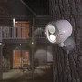Weißer Mr. Beams LED-Außenstrahler MBN340 mit Bewegungsmelder an Baum montiert.