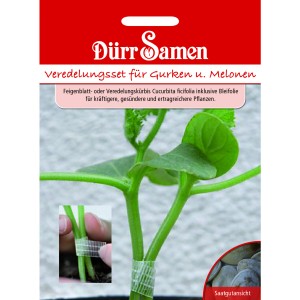 Dürr Samen Veredelungsset für Gurken und Melonen, zeigt Veredelung und Saatgut.