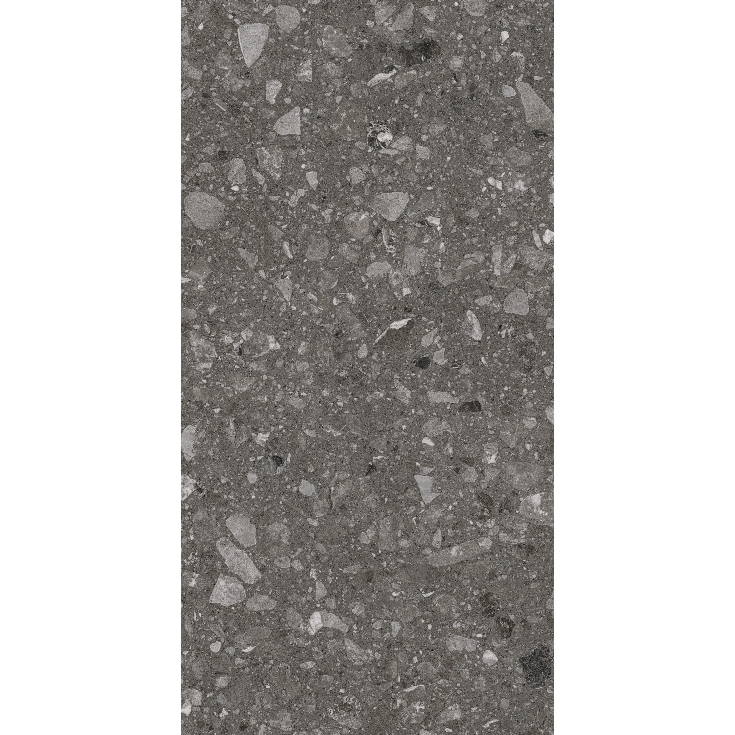 Feinsteinzeug Bodenfliese in Anthrazit, 60x120 cm, matte Steinoptik für Innen- und Außenbereich.