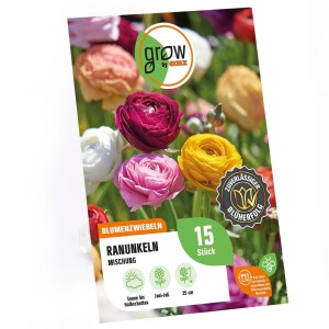Verpackung GROW by OBI Ranunkel Mischung mit bunten Ranunkelblüten.