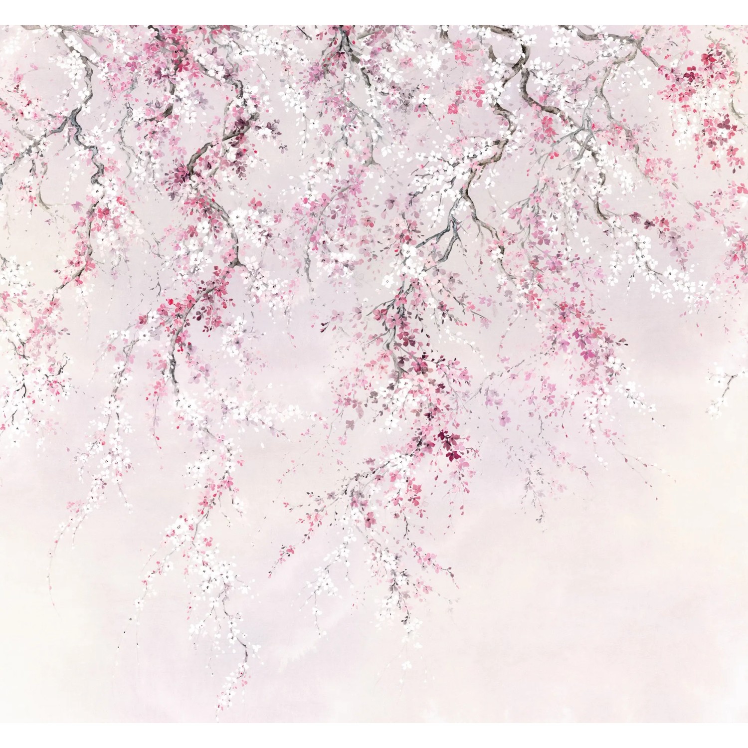 Komar Fototapete Vliestapete Kirschblüten, glatt, bedruckt, geblümt, floral, realistisch, 300 x 280 cm