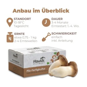 Hawlik Pilzbrut Bio Kräuterseitling Pilze Züchten Set mit Pilzkultur und Anleitung für Pilzzucht Zuhause