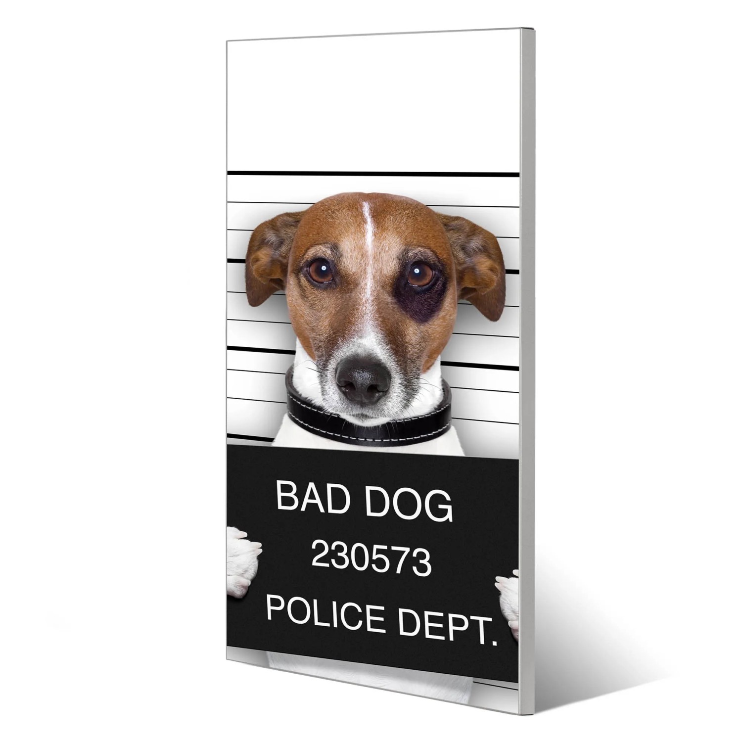 Magnettafel 37x78cm mit Jack Russel Motiv "Bad Dog" als Wanddekoration inklusive Magnete.