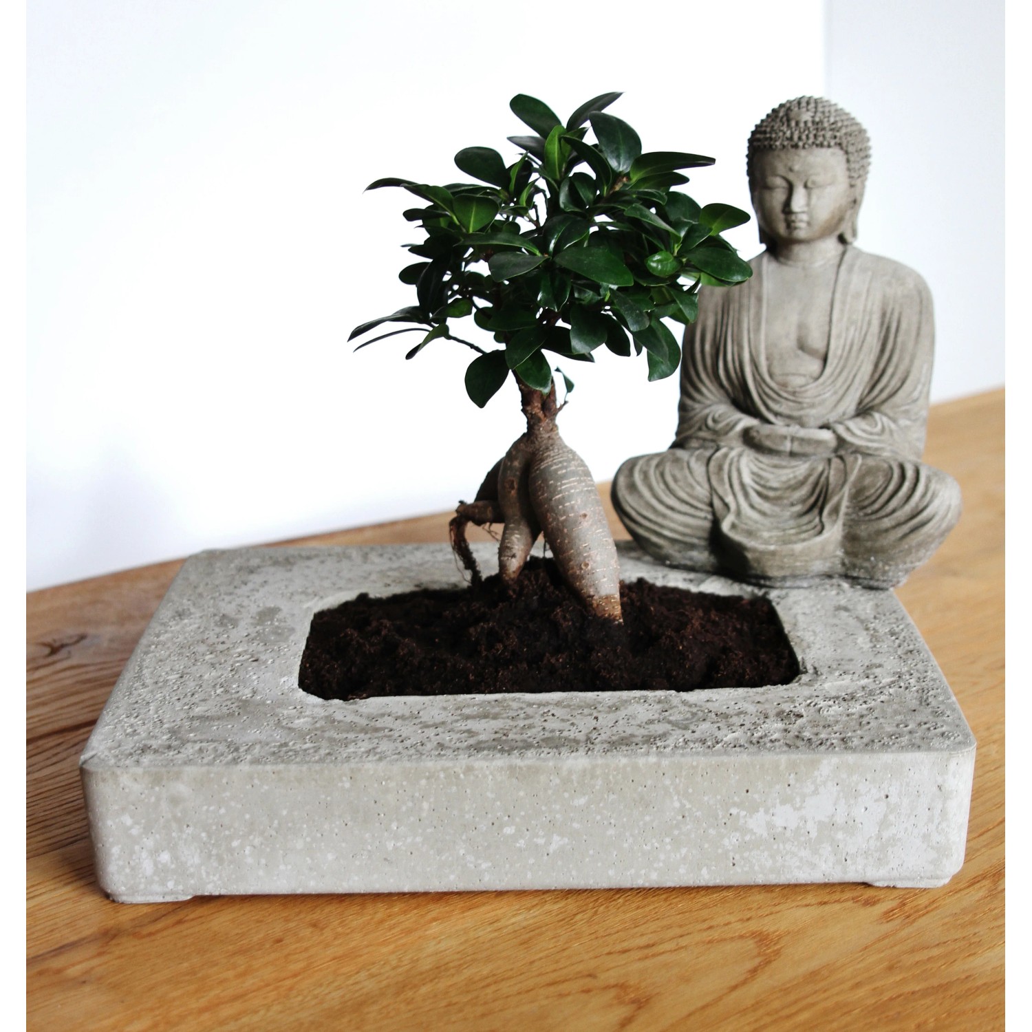 DIY: Betongefäß mit Bonsai und Buddha-Figur, hergestellt mit Ultrament Bastel Beton.