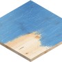 Bosch Expert Schleifblatt C470, Ø 125mm, K120, 5 Stk. Schleifpapier auf blau gestrichenem Holz.