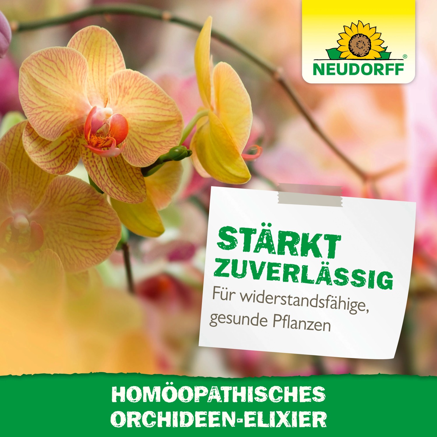 Neudorff Orchideen-Elixier für prächtige Blüten und gesunde Pflanzen.