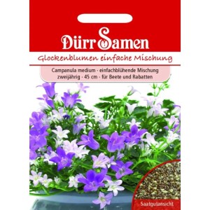 Dürr Samen Glockenblume Mischung: weiß-blaue Campanula medium Blüten und Saatgut auf Packung.