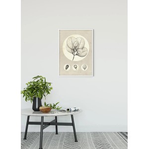 Komar Wandbild Transparent Leaf, 50x70 cm, Blätter-Motiv im weißen Rahmen.