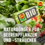 Compo Bio Beerendünger mit Schafwolle, Verpackung mit Beeren-Motiven.