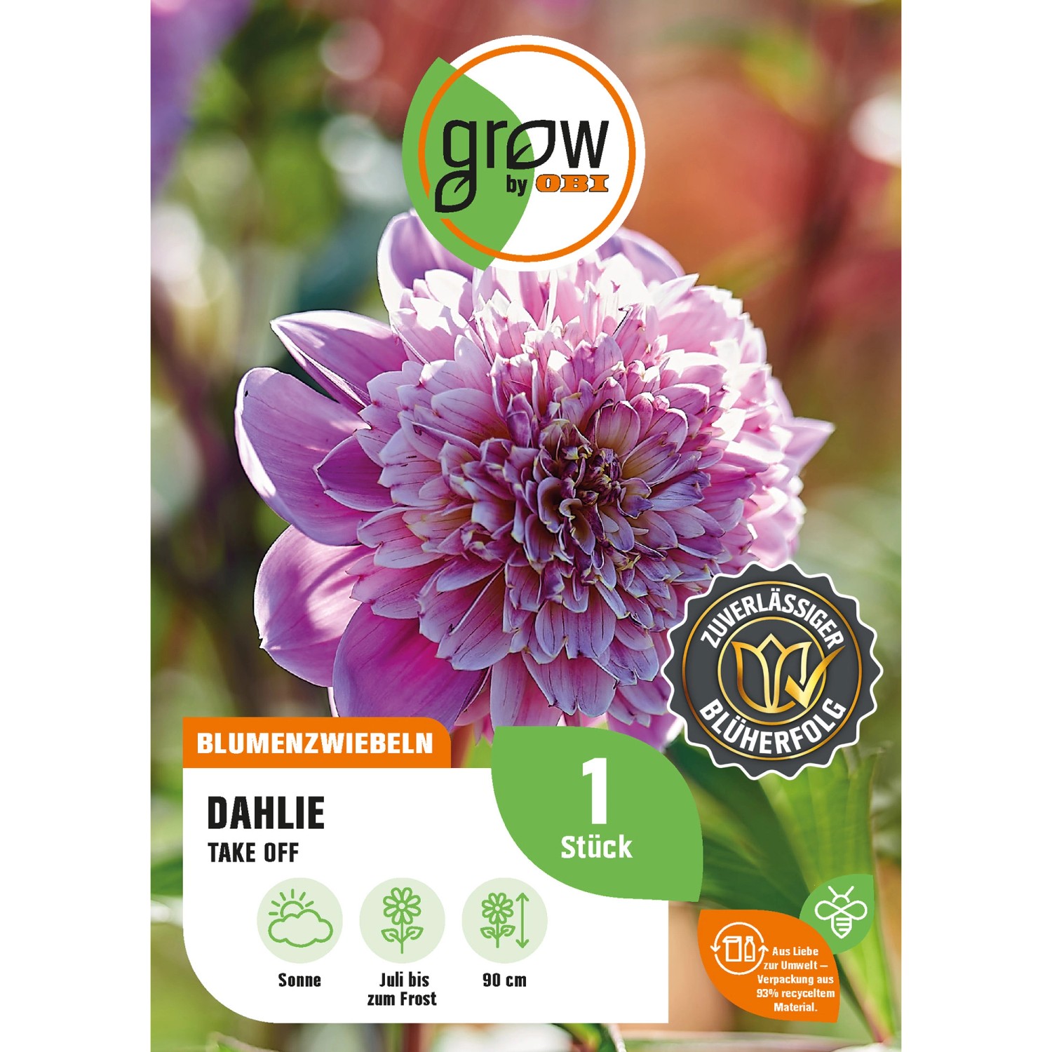 GROW by OBI Dahlie Take Off Höhe ca. 90 cm günstig online kaufen