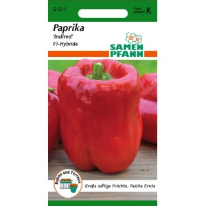 SAMEN PFANN Paprika Indired F1