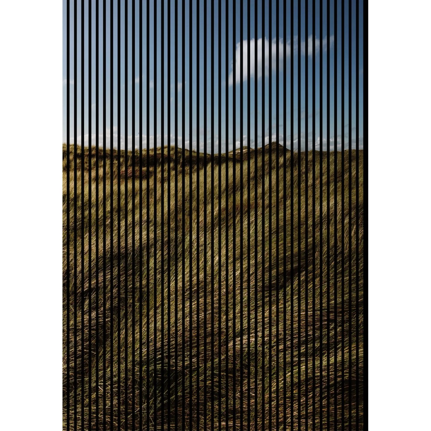FN Acustico Akustikplatte Gras 1 PET u. MDF Foliert 1.693 x 19 x 2.400 mm