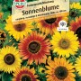 Samenpackung Sperli Sonnenblumen Farbenpracht Mischung mit gelben und rotbraunen Blüten.