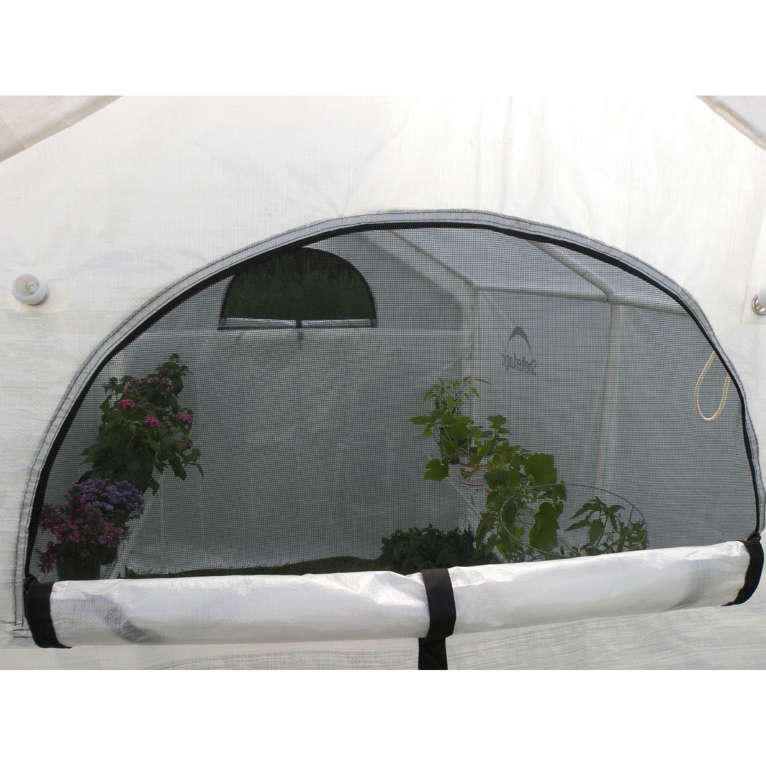 Detailansicht ShelterLogic Foliengewächshaus mit geöffnetem Fenster und Pflanzen im Inneren.