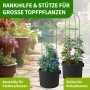 4er Set TTL GARDEN Obelisk Rankhilfen XL, 195x40 cm, aus pulverbeschichtetem Metall für Rosen und Clematis.