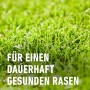 Sattes, grünes Gras: Compo Rasendünger für einen gesunden Rasen ohne Unkraut und Moos.