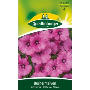 Quedlinburger Bechermalven 'Silver Cup' Blumensamen mit rosa-gestreiften Blüten.