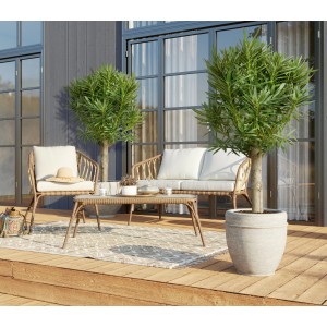 Roter Oleander Stamm XXL (120-140cm) im Topf, als Kübelpflanze für Terrasse oder Balkon.