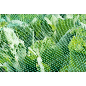 Grünes Aquagart Teichnetz 18x6m über Pflanzen, Laubschutz und Vogelschutz.
