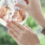 Komar Fenstersticker Sweet Fairyland mit Eichhörnchen wird an ein Fenster geklebt.